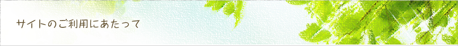 サイトのご利用にあたって